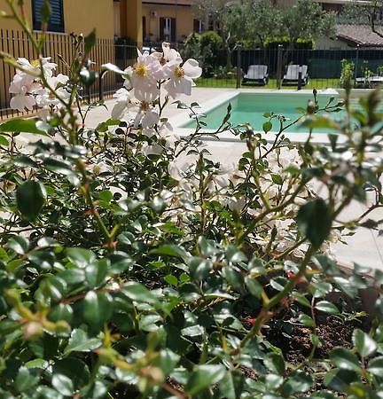 منزل الضيف ريفيوتورتو  في Residenza Cieloterra المظهر الخارجي الصورة
